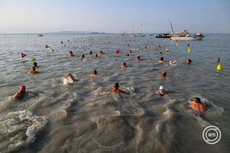 A 42. Lidl Balaton-átúszás résztvevői megkezdik az 5,2 kilométeres táv teljesítését Révfülöpnél 2024. július 21-én. MTI/Vasvári Tamás
