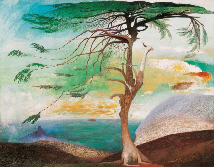 Magányos cédrus (1907)