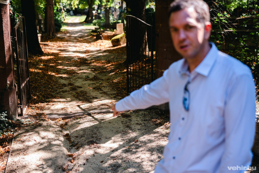 Az egyik tervezett esőkert mellett az Erzsébet-ligetben, az Alsóvárosi temető alatt