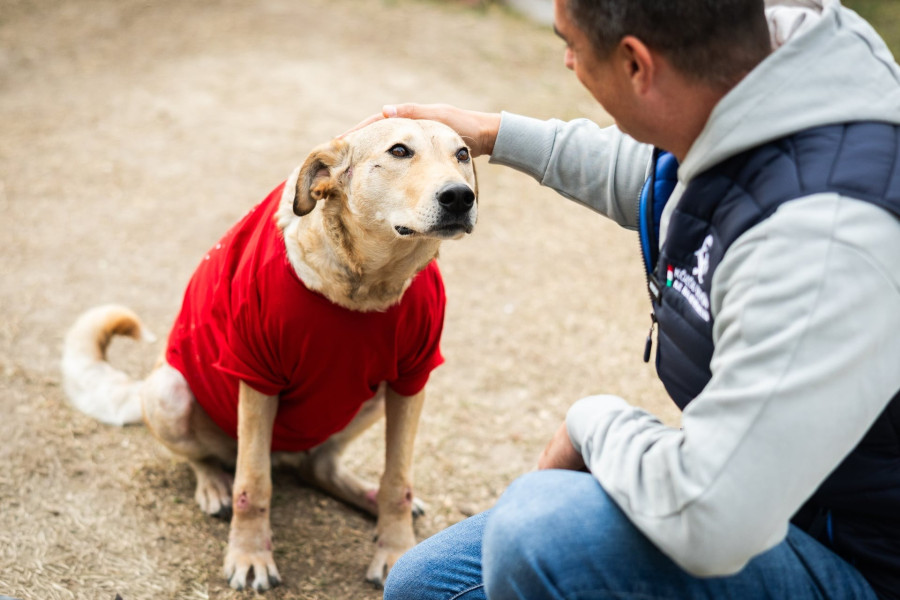 Fotó: Kovács Bálint