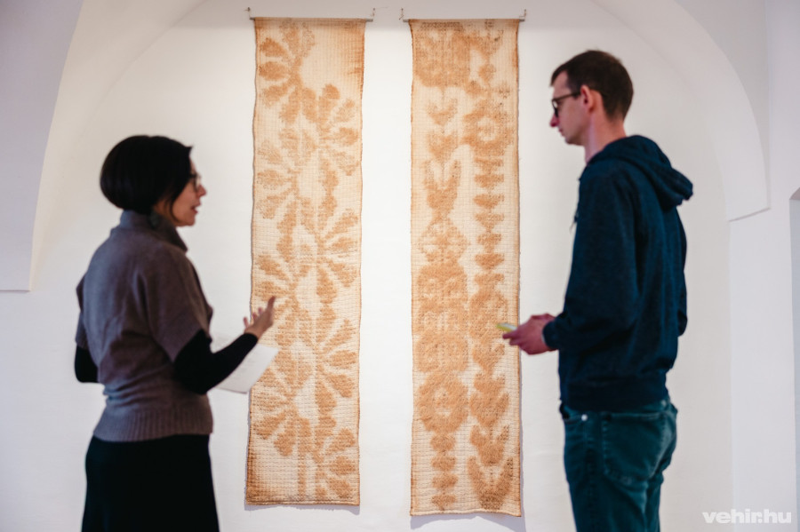 Takács Emese: Gyökerek