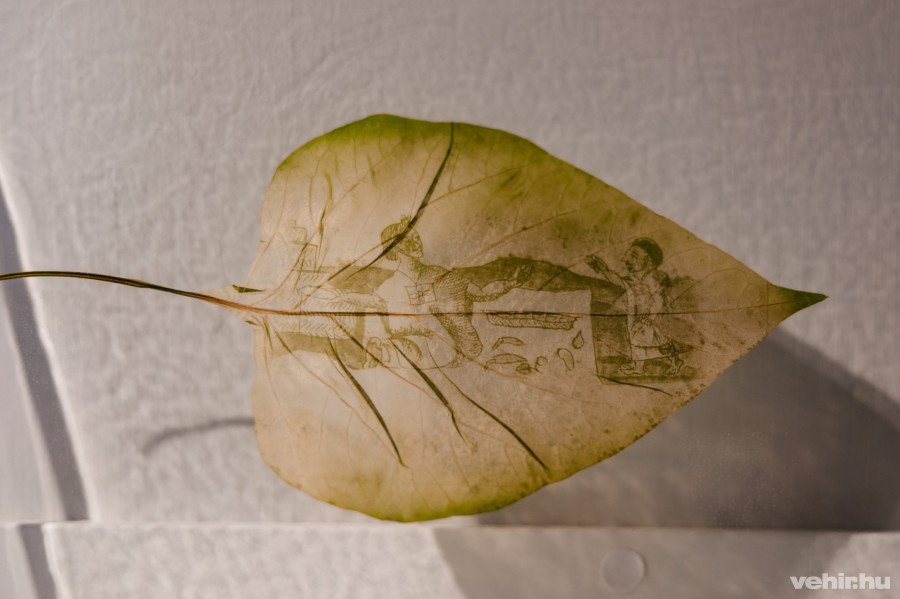 Jámbor Zsóka: Quiltic