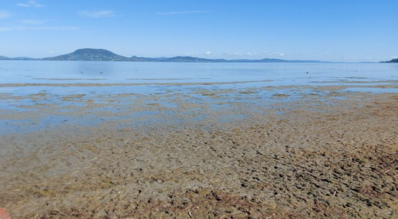A Balaton vízállása 2025. augusztusában. Fotó: Balatoni Limnológiai Kutatóintézet